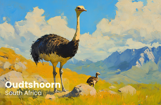 Oudtshoorn Magnet 30