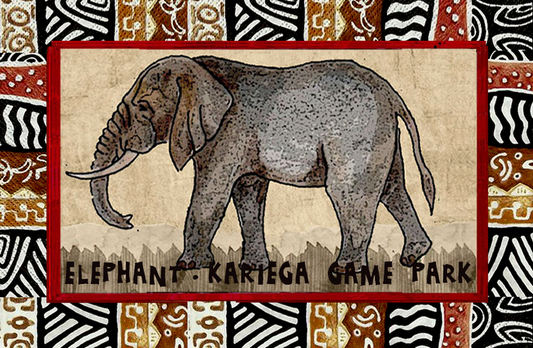 Kariega Magnet 7