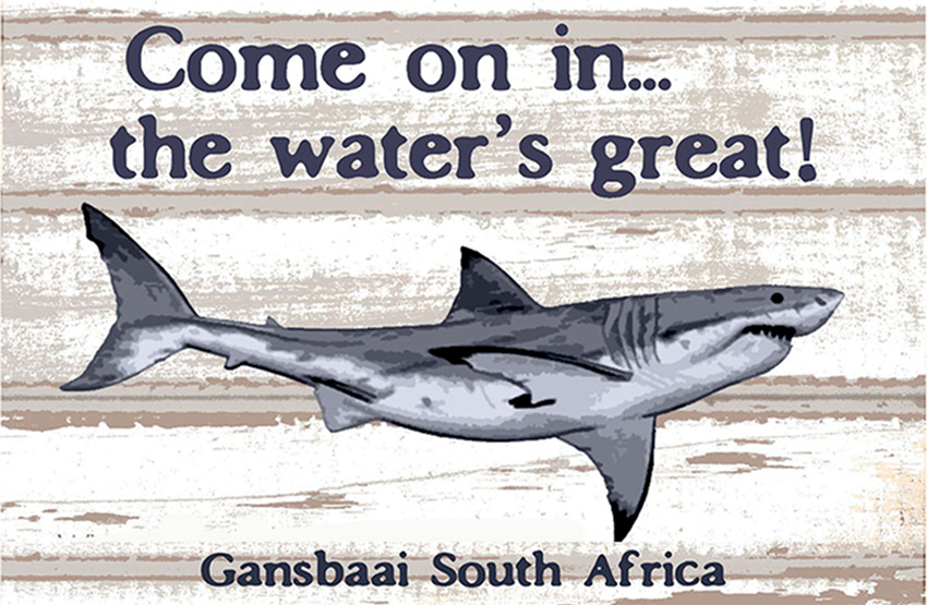 Great White House Magnet 8