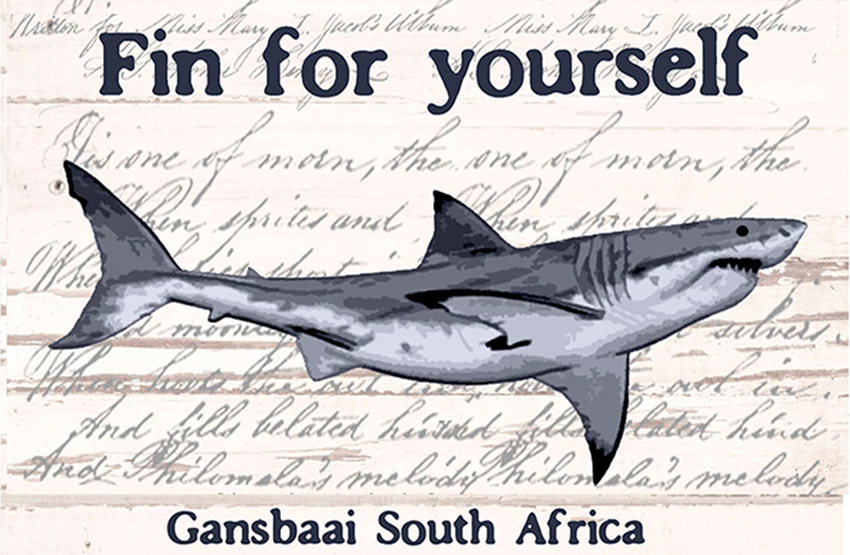 Great White House Magnet 11