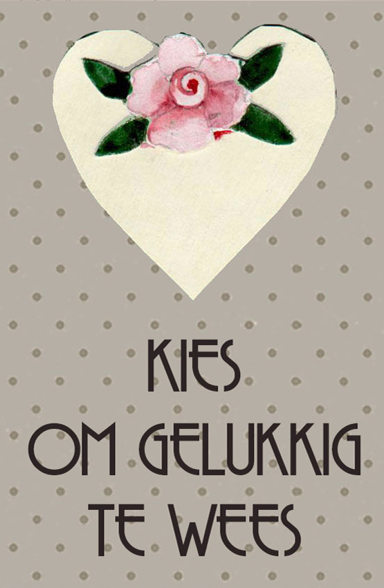 Product showcase image from staged upload