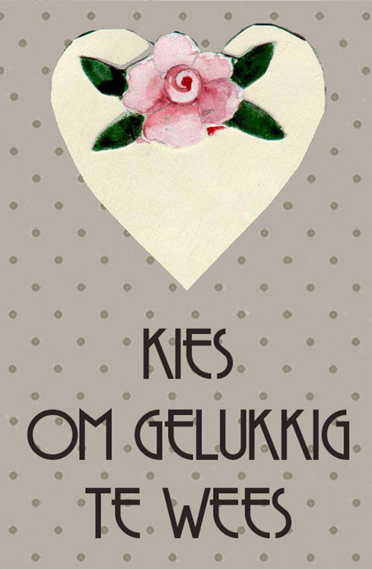 Product showcase image from staged upload