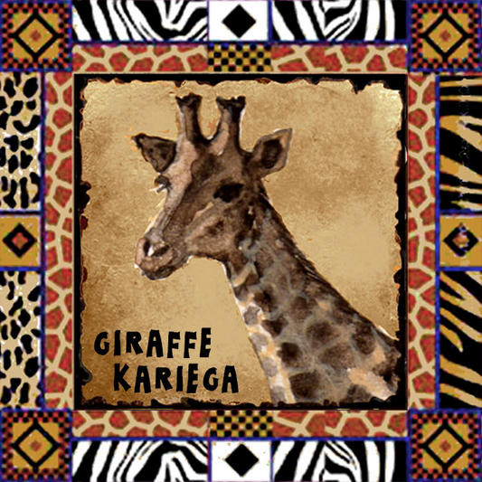 Kariega Magnet 8