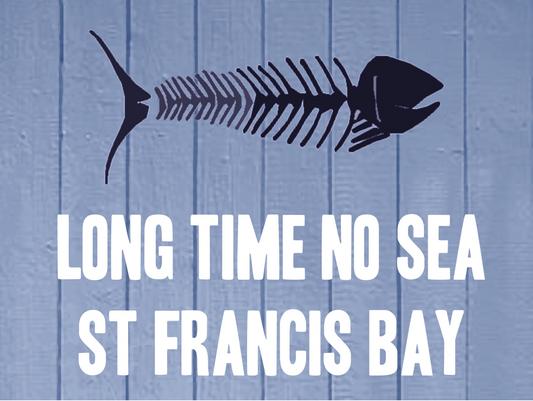 Product showcase image from staged upload