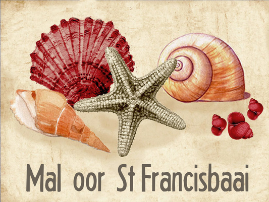 Product showcase image from staged upload