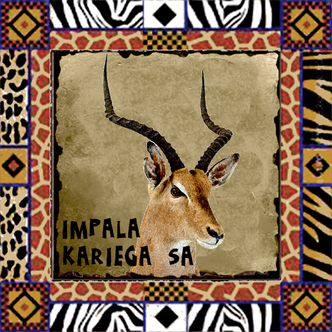 Kariega Magnet 10
