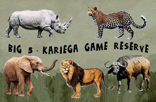 Kariega Magnet 11