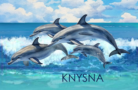 Knysna Magnet 29