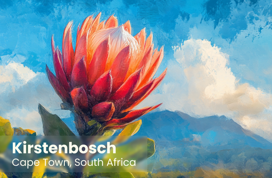 Kirstenbosch Magnet 2