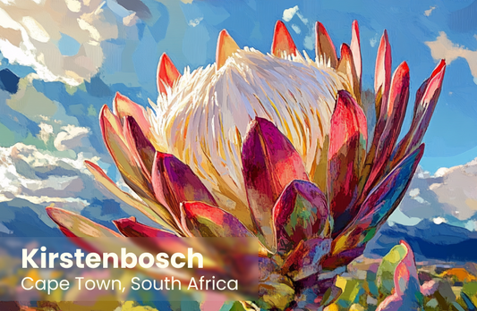 Kirstenbosch Magnet 3