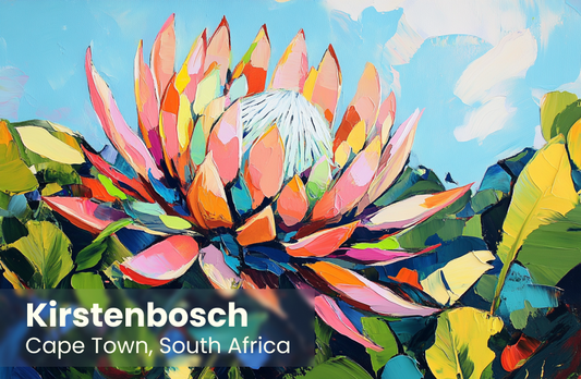 Kirstenbosch Magnet 6