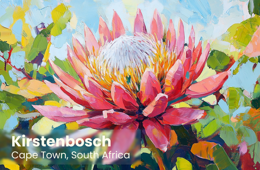 Kirstenbosch Magnet 7