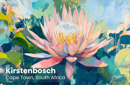 Kirstenbosch Magnet 8