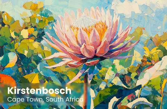 Kirstenbosch Magnet 9