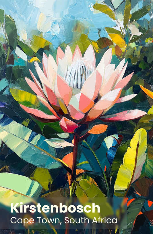 Kirstenbosch Magnet 12