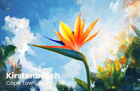 Kirstenbosch Magnet 18