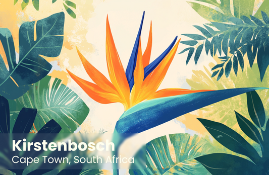 Kirstenbosch Magnet 20