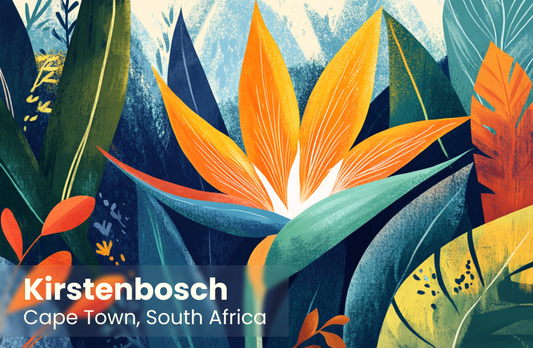 Kirstenbosch Magnet 21