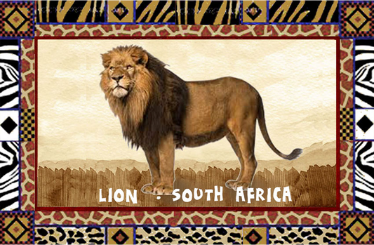 General South Africa Magnet 37