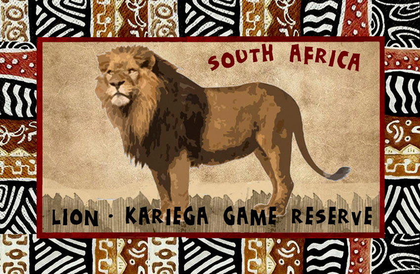 Kariega Magnet 13