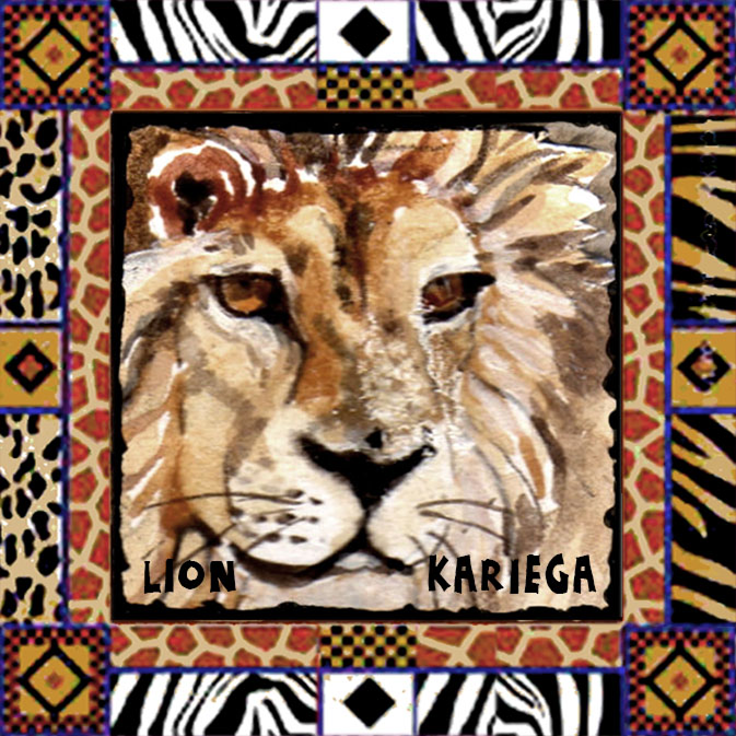 Kariega Magnet 14