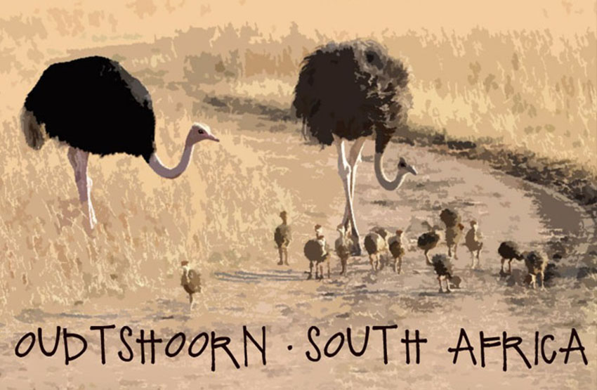 Highgate Ostrich Show Farm Magnet 6