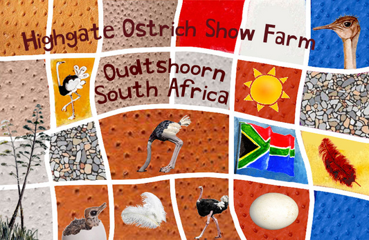 Highgate Ostrich Show Farm Magnet 7