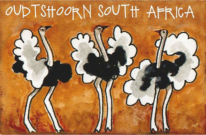 Highgate Ostrich Show Farm Magnet 14