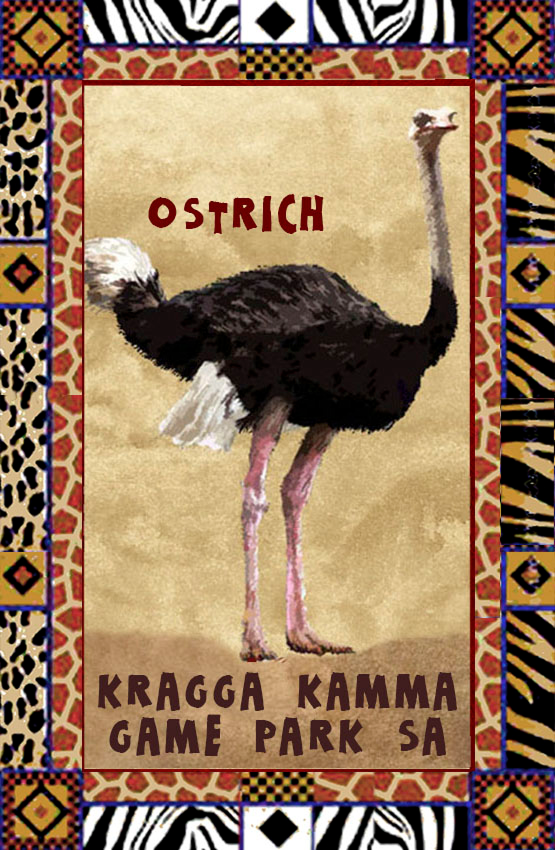 Kragga Kamma Game Reserve Magnet 13