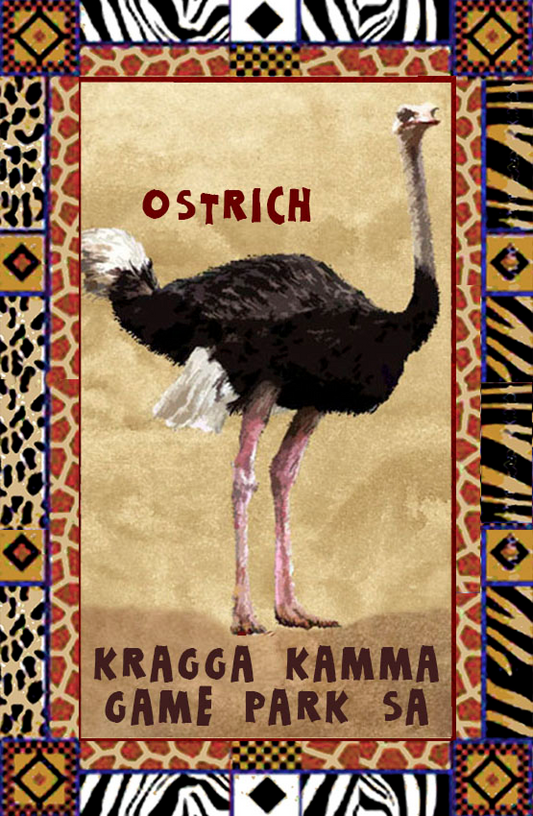 Kragga Kamma Game Reserve Magnet 13