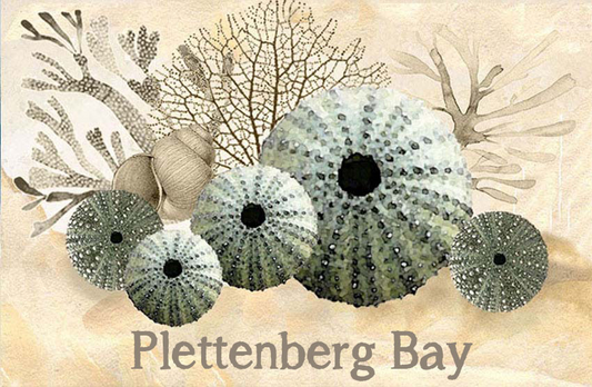 Product showcase image from staged upload