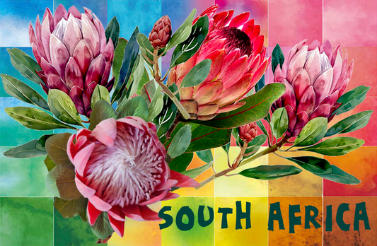 General South Africa Magnet 6