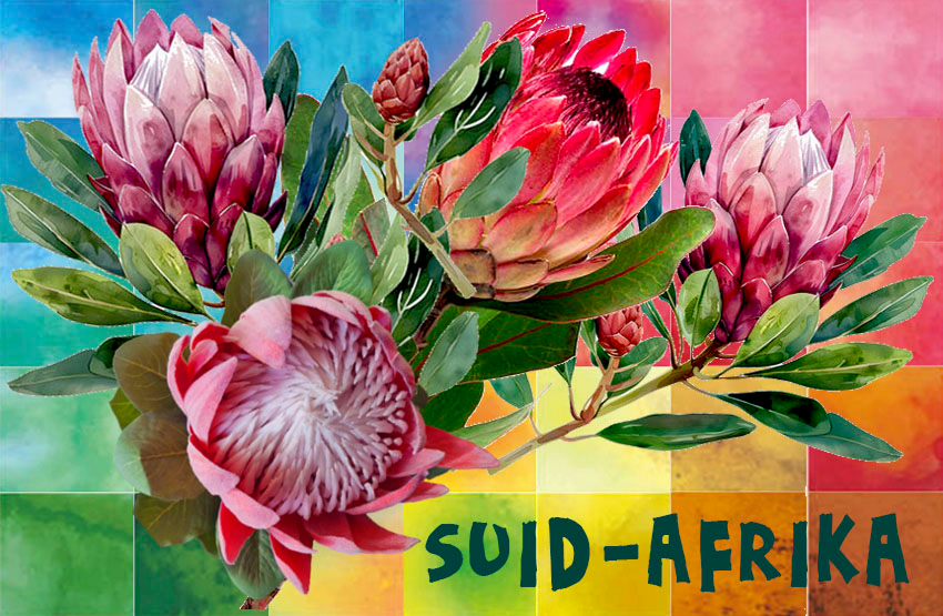 General South Africa Magnet 7