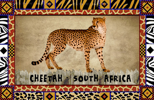 General South Africa Magnet 38