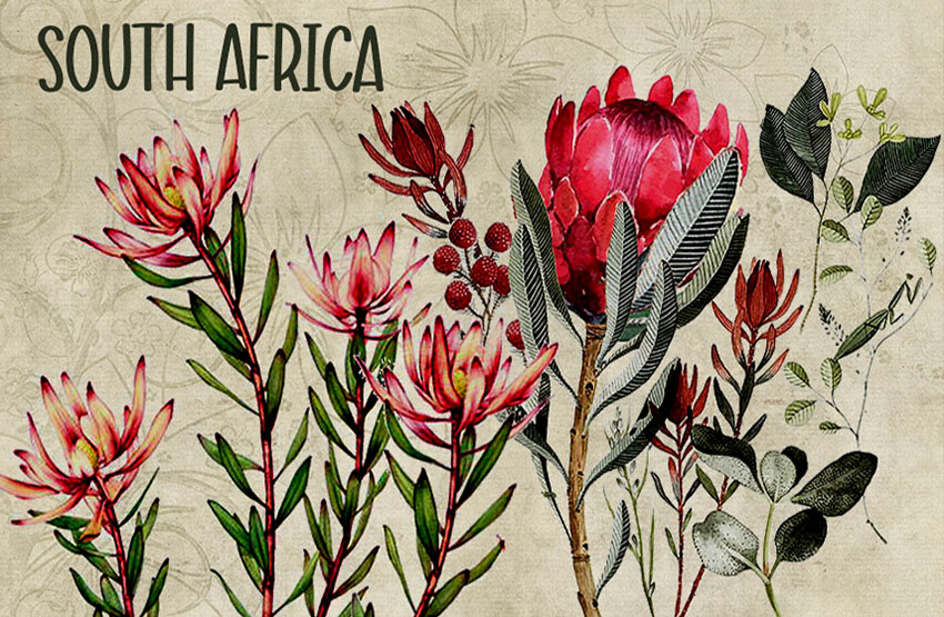 General South Africa Magnet 8