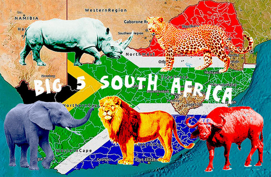 General South Africa Magnet 39