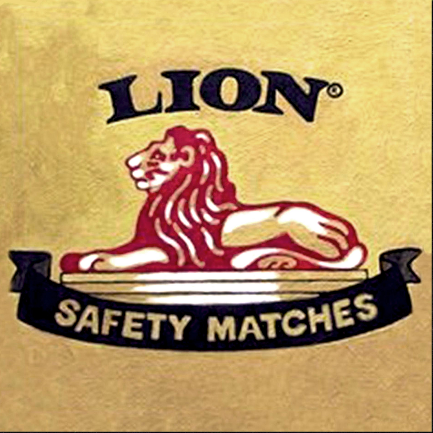 Product showcase image from staged upload