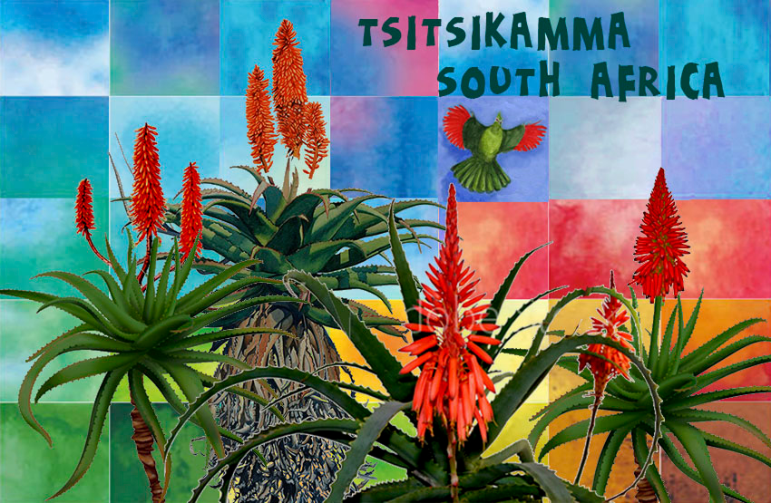Brunos Storms River Magnet 20