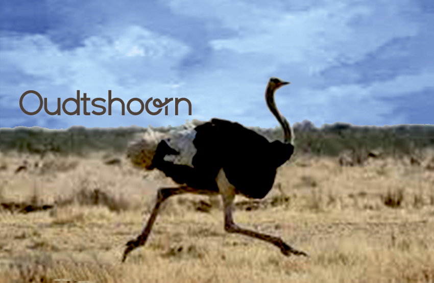 Oudtshoorn Magnet 34