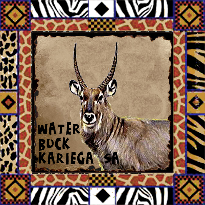 Kariega Magnet 22