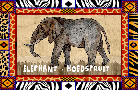 Product showcase image from staged upload