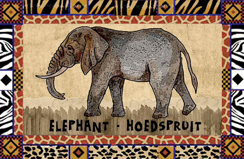 Product showcase image from staged upload