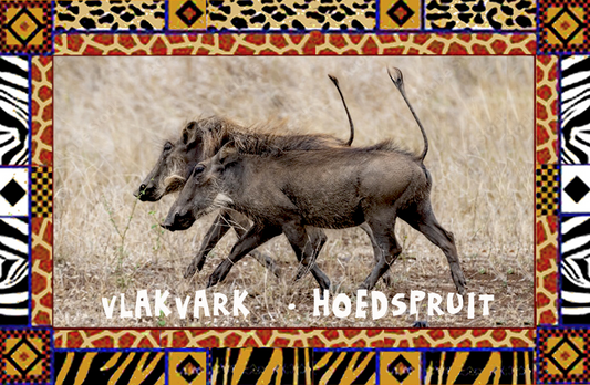 Product showcase image from staged upload