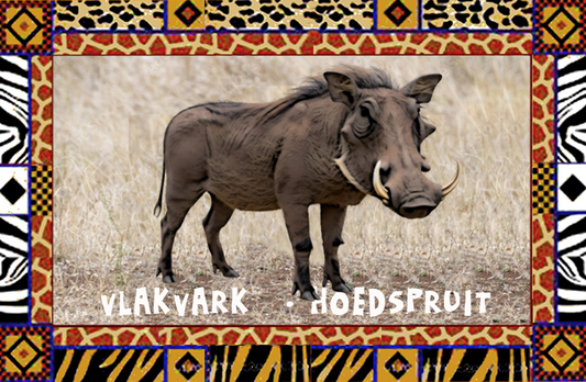 Product showcase image from staged upload