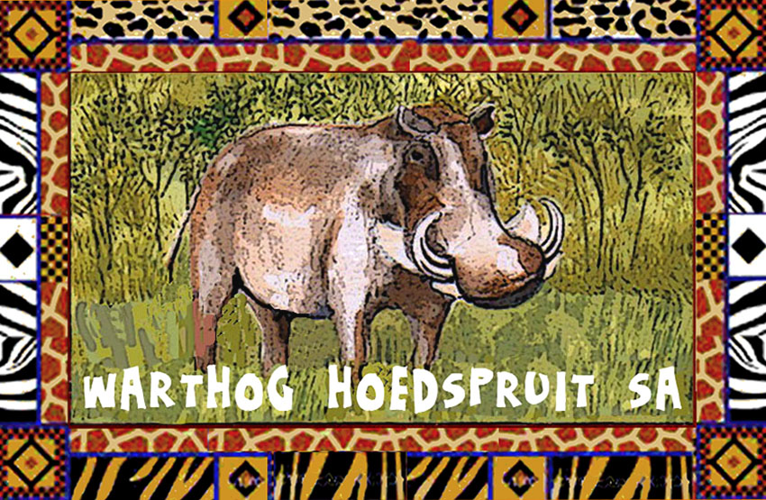 Product showcase image from staged upload