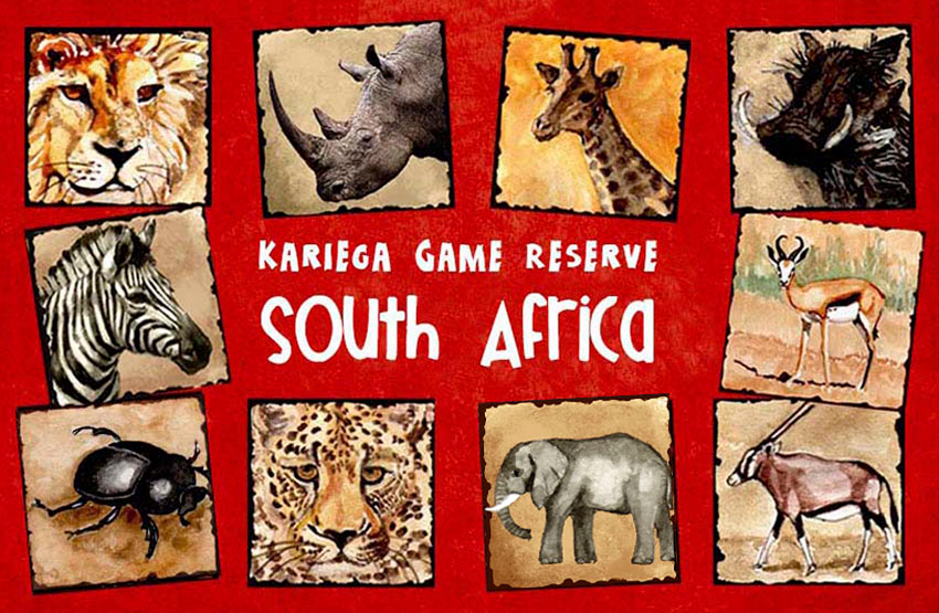 Kariega Magnet 3