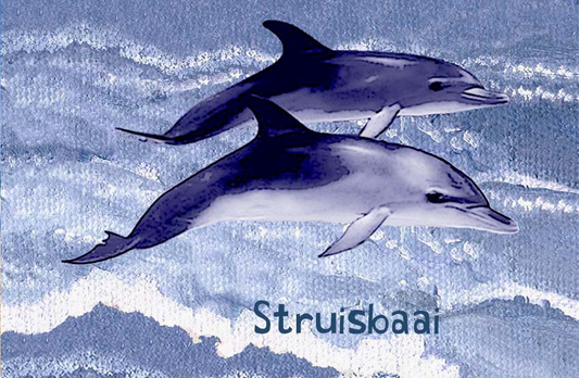 Struisbaai Magnet 2