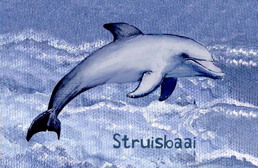 Struisbaai Magnet 3