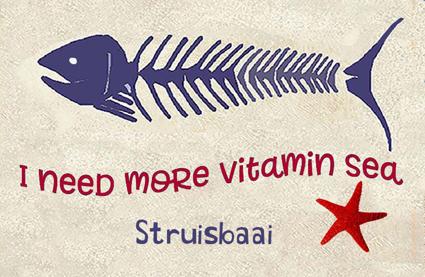 Struisbaai Magnet 4