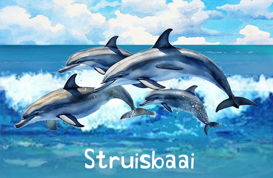 Struisbaai Magnet 8